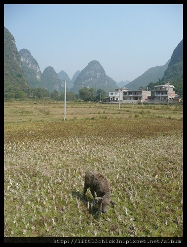 20101102_133206_GuangXiYangShuo.JPG