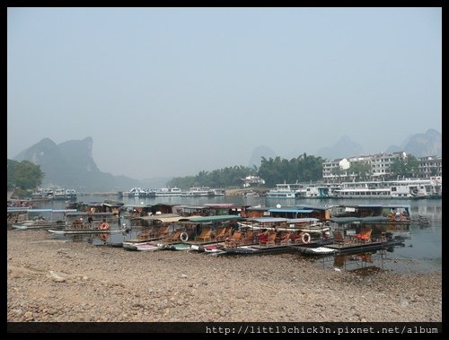 20101104_131121_GuangXiYangShu.JPG