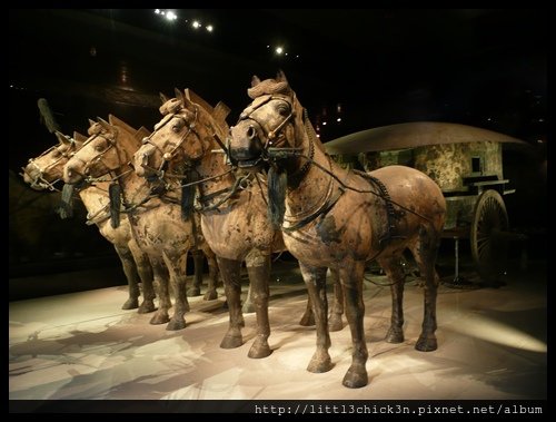 20101113_130114_ShanXiXiAnTerracottaWarriors.JPG