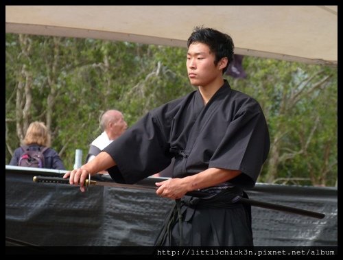 20141213_154918_JapaneseFestivalDarlingHarbour.JPG