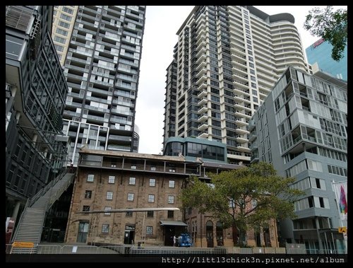 20151128_123206_BarangarooReserve.JPG