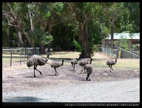 20151226_123011_HallsGap.JPG