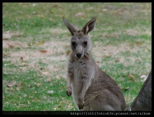 20151226_182428_HallsGap.JPG