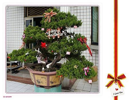 xmas.jpg