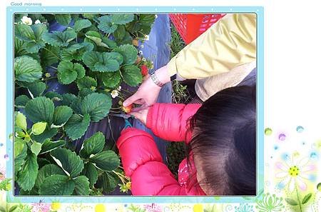20120202_145620.jpg