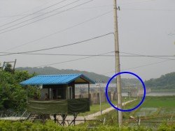 korea22.jpg