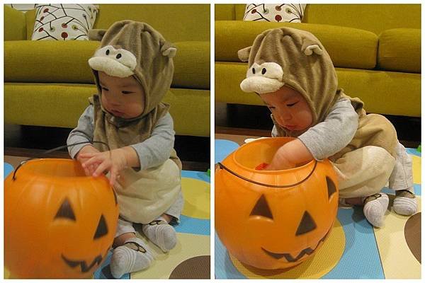 Miso&apos;s First Halloween (6)_1.jpg