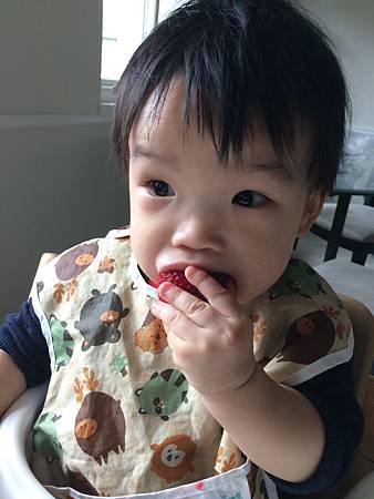 Miso 11M old (10).JPG