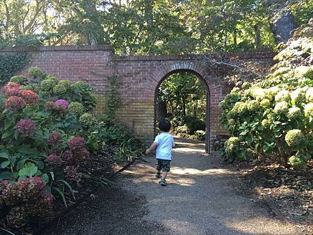 Autumn at Filoli Garden (24).jpg