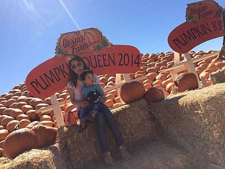 Uesugi Farms Pumpkin Park (4).jpg