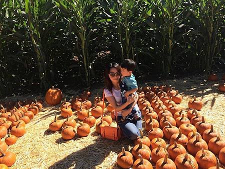 Uesugi Farms Pumpkin Park (12).jpg