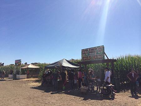 Uesugi Farms Pumpkin Park (23).jpg