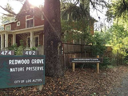 Redwood Grove (1).jpg