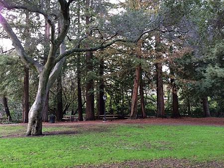 Redwood Grove (18).jpg