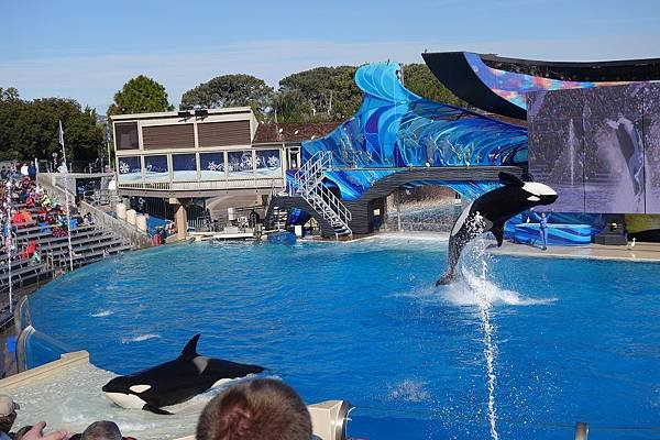 Day 4-SD-SeaWorld (8).jpg