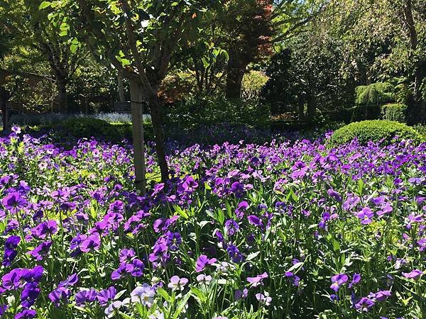 April at Filoli (19).jpg