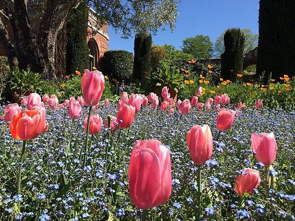 April at Filoli (30).jpg