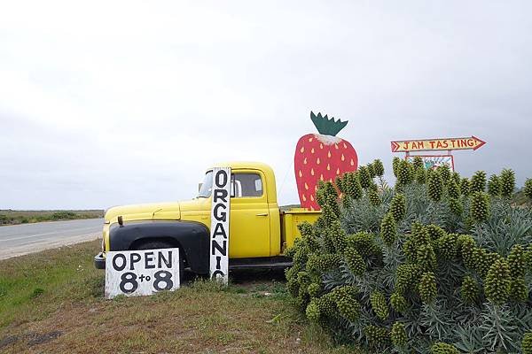 Swanton Berry Farm (29).jpg