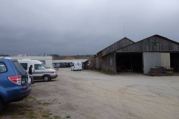 Swanton Berry Farm (30).jpg