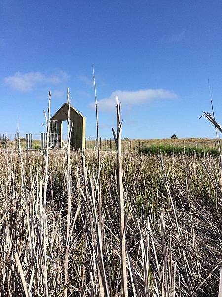 Alviso Marina County Park (4).jpg