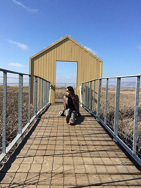 Alviso Marina County Park (7).jpg