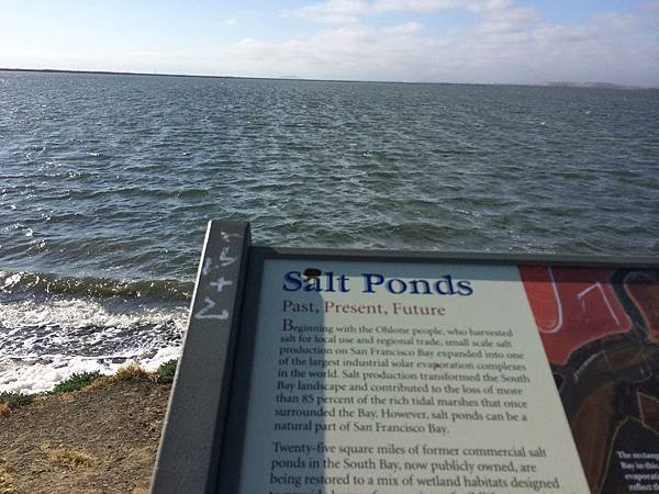 Alviso Marina County Park (8).jpg