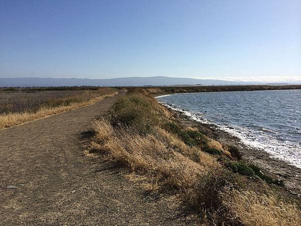 Alviso Marina County Park (9).jpg