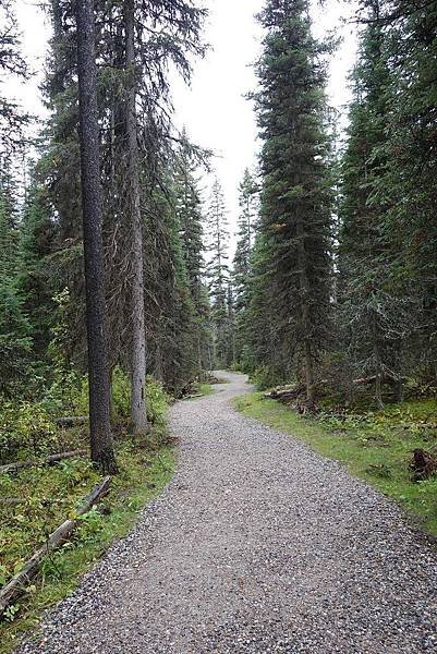 Banff Day 5 (11).jpg