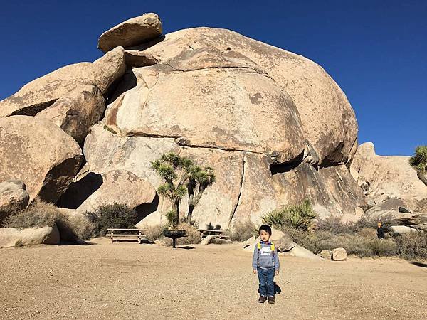 2. Joshua Tree National Park (21).jpg