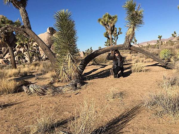 2. Joshua Tree National Park (38).jpg