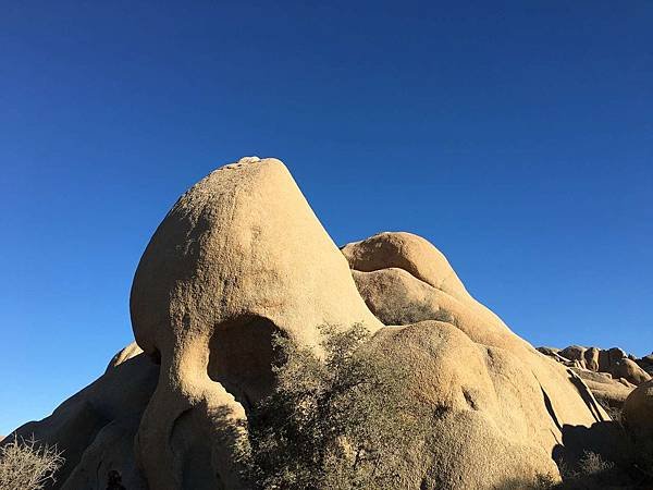 2. Joshua Tree National Park (39).jpg