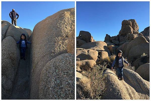 2. Joshua Tree National Park (42)_1.jpg