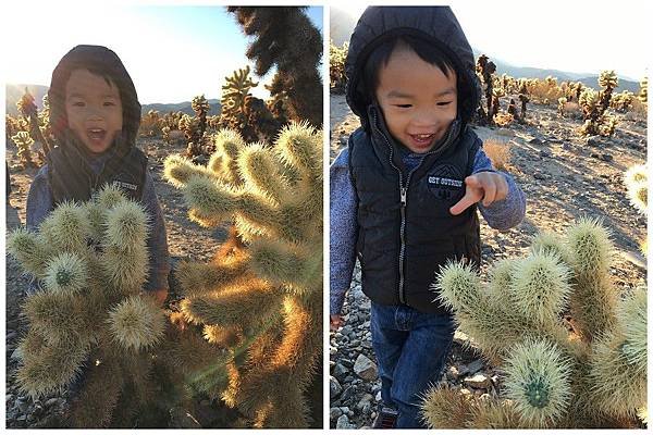 2. Joshua Tree National Park (50)_1.jpg