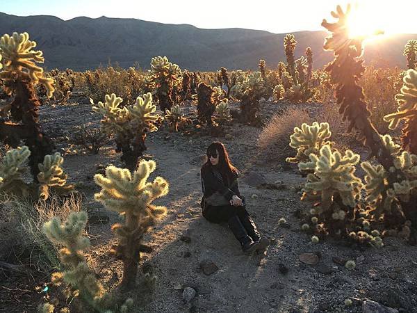 2. Joshua Tree National Park (59).jpg