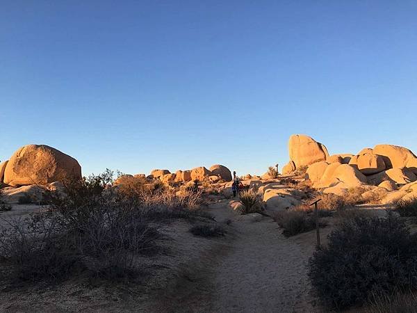 2. Joshua Tree National Park (61).jpg