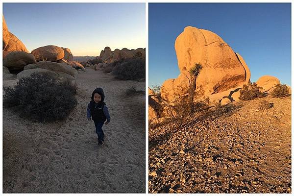 2. Joshua Tree National Park (62)_1.jpg