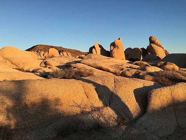 2. Joshua Tree National Park (63).jpg