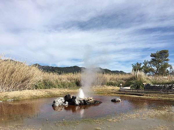 2. Old Faithful Geyser (11).jpg