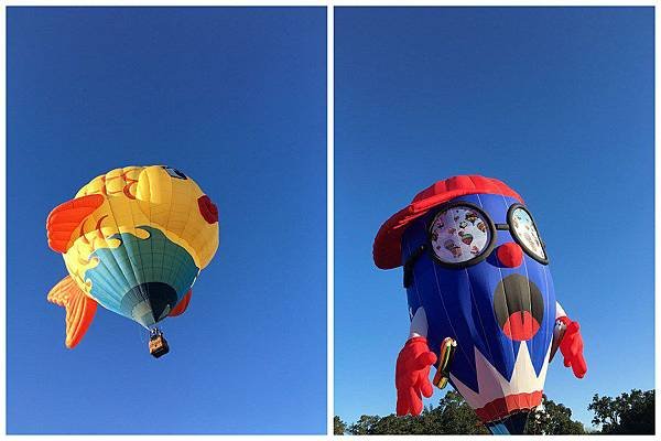 Sonoma County Hot Air Balloon Classic (12)_1.jpg