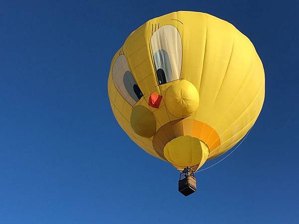 Sonoma County Hot Air Balloon Classic (13).jpg