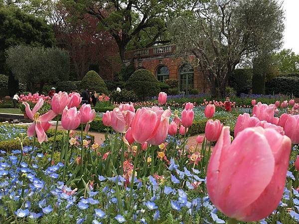 Filoli Garden (17).jpg