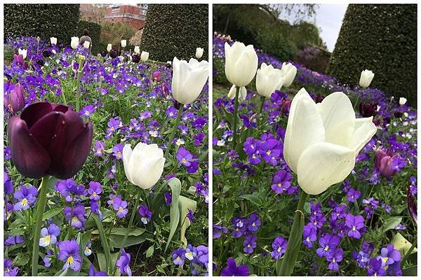 Filoli Garden (29)_1.jpg