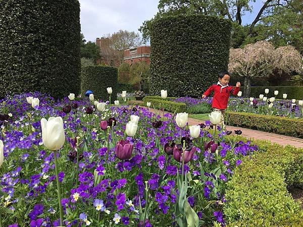 Filoli Garden (28).jpg