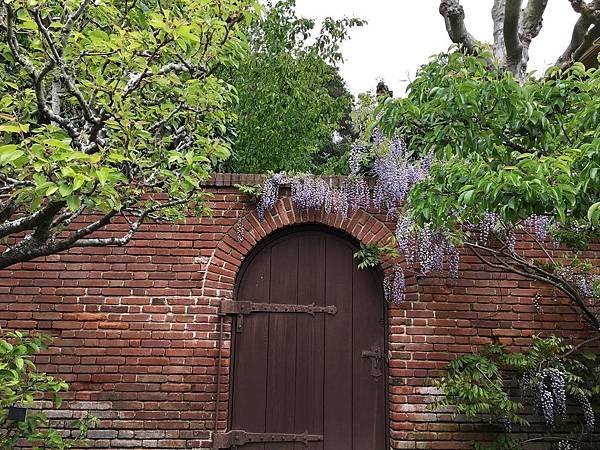 Filoli Garden (32).jpg