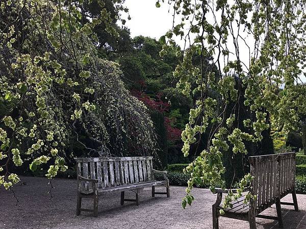 Filoli Garden (34).jpg