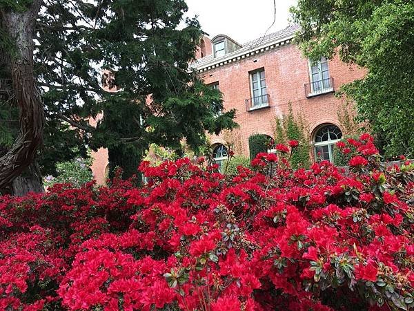 Filoli Garden (43).jpg