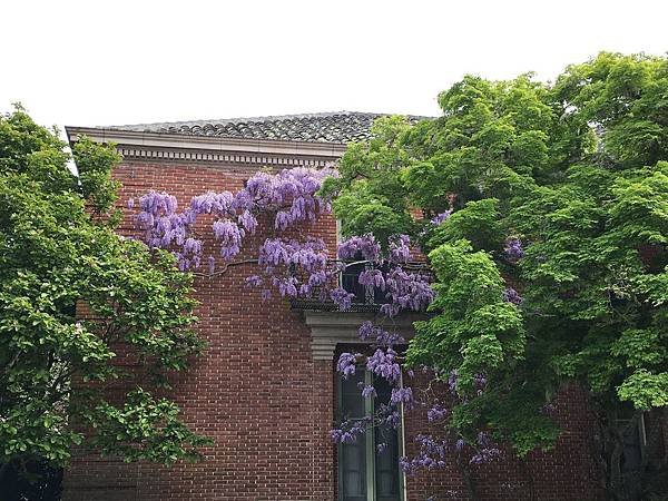 Filoli Garden (54).jpg