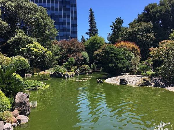 San Mateo Japanese Garden (1).jpg