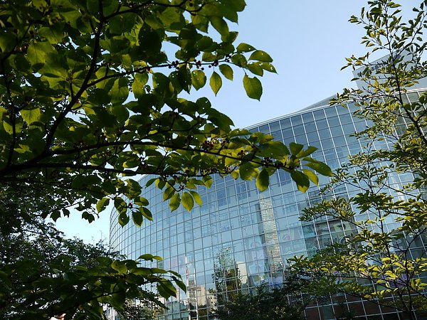 P1030243.JPG