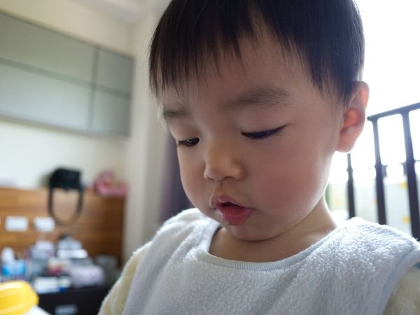 P1050991r.jpg